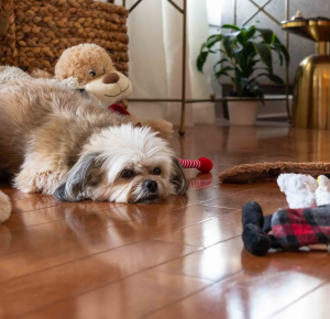 best flooring for pets