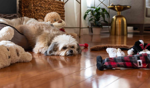 best flooring for pets