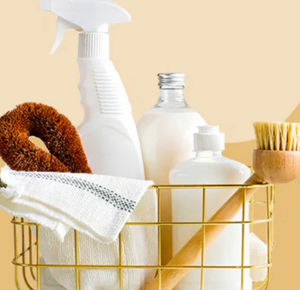 eco-friendly cleaning products