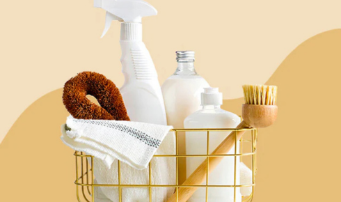 eco-friendly cleaning products