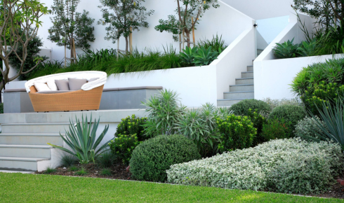 low maintenance garden ideas